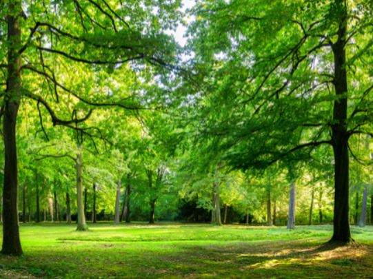 Top 4 Spots To Check Out In Houston, TX