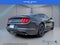 2023 Ford Mustang GT