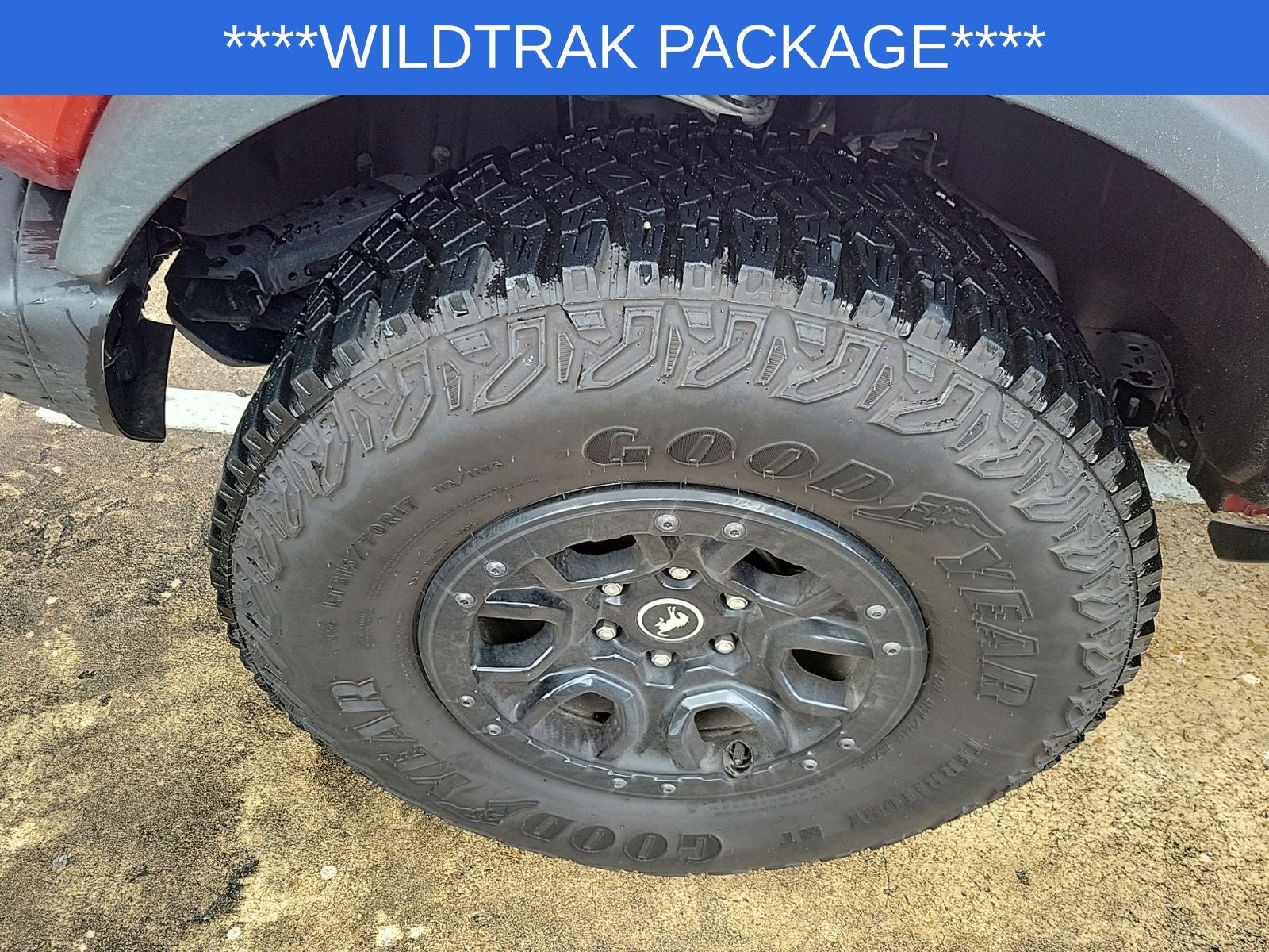 2023 Ford Bronco Wildtrak